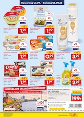 Kekse im Netto Marken-Discount Prospekt in Erkrath Aktueller Netto Marken-Discount Prospekt mit Kekse, "Aktuelle Angebote", Seite 59