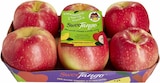 Äpfel im Angebot bei E center in Karlsruhe Äpfel Angebote von SweetTango bei E center Karlsruhe für 1,99 €