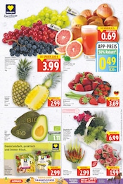 Ähnliche Obstkorb Angebote im Prospekt "Aktuelle Angebote" von E center Ähnliches Angebot bei E center in Prospekt "Aktuelle Angebote" gefunden auf Seite 3