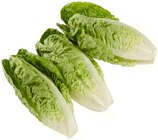 Romana Salatherzen Angebot in Reinbek Romana Salatherzen im aktuellen Prospekt bei REWE in Reinbek
