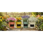 Pot métal coloris assortis à 1,50 € dans le catalogue Carrefour