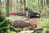 Benzin-Kettensäge mit E-Start von PARKSIDE PERFORMANCE im aktuellen Lidl Prospekt für 149,00 €
