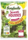 Salade Bonduelle - BONDUELLE dans le catalogue Hyper U