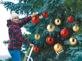 XL Weihnachtsbaumkugel für 2,99 € bei Netto mit dem Scottie im Angebot XL Weihnachtsbaumkugel im aktuellen Netto mit dem Scottie Prospekt