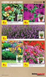 Plantes Angebote im Prospekt "MERVEILLEUSES PÂQUES" von Intermarché Super auf Seite 19