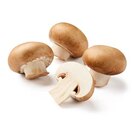 Braune Kulturchampignons im Angebot bei Lidl in Siegen Braune Kulturchampignons Angebote bei Lidl Siegen für 2,19 €
