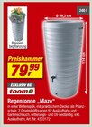 Aktuelles Regentonne "Maze" Angebot bei toom Baumarkt in Gelsenkirchen ab 79,99 €