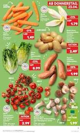 Aktueller Kaufland Prospekt mit Zimmerpflanzen, "KNÜLLER", Seite 15