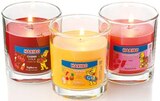 Duftkerze im Glas im Angebot bei Netto mit dem Scottie in Berlin Duftkerze im Glas Angebote von Haribo bei Netto mit dem Scottie Berlin für 3,99 €