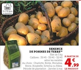 Semence de pommes de terre en promo chez Super U La Ciotat à 4,99 €