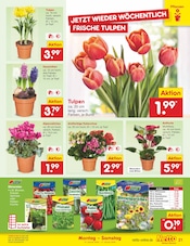 Ähnliche Blumenerde Angebote im Prospekt "Aktuelle Angebote" von Netto Marken-Discount in Weiden Ähnliche Angebote wie Blumenerde im Prospekt "Aktuelle Angebote" auf Seite 25 von Netto Marken-Discount in Weiden