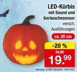 Aktuelles LED-Kürbis Angebot bei Zimmermann in Bremerhaven ab 19,99 €