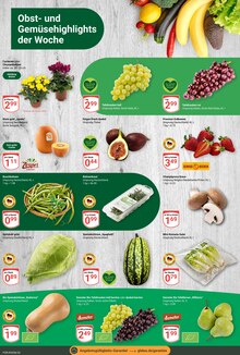 Erdbeeren im GLOBUS Prospekt "Aktuelle Angebote" mit 29 Seiten (Erlangen)