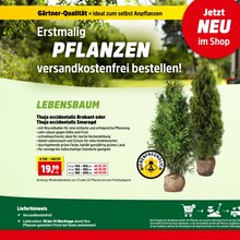 Gartenpflanzen im Thomas Philipps Prospekt "Top Angebote" mit 32 Seiten (Lübeck)