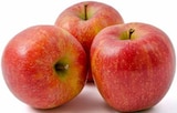 Äpfel Jonagold im Angebot bei E center in Schwäbisch Gmünd Äpfel Jonagold Angebote von Gut & Günstig bei E center Schwäbisch Gmünd für 1,49 €