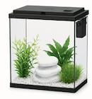 AQUARIUM DORY ÉQUIPÉ NOIR 10L - AQUADISIO à 23,99 € dans le catalogue Animalis