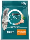 Katzen-Trockennahrung Angebote von Purina One bei REWE Regensburg für 29,99 €