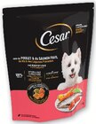 Croquettes pour petit chien - Cesar - Super U à Montpellier Croquettes pour petit chien - Cesar en promo chez Super U Montpellier à 3,76 €
