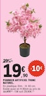 Promo Pommier artificiel tronc naturel à 19,90 € dans le catalogue E.Leclerc à Vienne