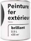 Peinture fer 2,5 l glycéro** dans le catalogue Brico Dépôt