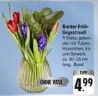 Bunter Frühlingsstrauß Angebote bei E center Albstadt für 4,99 €