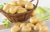 Promo Pomme de terre de consommation lavée à 1,89 € dans le catalogue U Express à Vannes