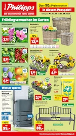 Aktueller Thomas Philipps Discounter Prospekt in Hoppegarten und Umgebung, "Top Angebote" mit 18 Seiten, 03.03.2025 - 08.03.2025