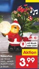 Kalanchoe Angebote bei Netto Marken-Discount Hoyerswerda für 3,99 €