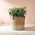 Cache pot panier naturel dans le catalogue B&M