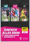 Bührs Telekommunikations GmbH & Co.KG Haselünne - WOW Sport Streaming Angebot im Prospekt WOW Sport Streaming bei Bührs Telekommunikations GmbH & Co.KG im Haselünne Prospekt für 60,00 €