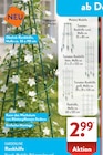 Obelisk-Rankhilfe Angebote von Gardenline bei ALDI SÜD Koblenz für 2,99 €