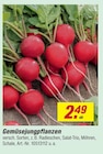 Gemüsesjungpflanzen bei toom Baumarkt im Krumbach Prospekt für 2,49 €