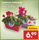 Bepflanzter Balkonkorb Angebote bei Netto Marken-Discount Lörrach für 6,99 €