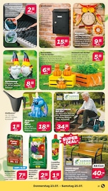 Blumenerde im Netto mit dem Scottie Prospekt in Norderstedt Aktueller Netto mit dem Scottie Prospekt mit Blumenerde, "Günstig. Besser. Für Dich.", Seite 25
