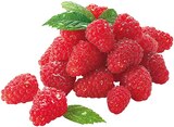 Himbeeren im REWE Prospekt Himbeeren von im aktuellen REWE Prospekt für 0,80 €