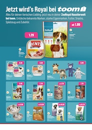 toom Baumarkt Kinderspielzeug im Prospekt 