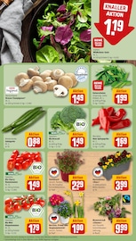 Pflanzen im REWE Prospekt in Straubing Aktueller REWE Prospekt mit Pflanzen, "Dein Markt", Seite 7