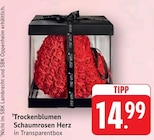 E center Billigheim-Ingenheim Prospekt mit  im Angebot für 14,99 €