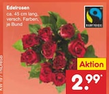 Netto Marken-Discount Sonnenbühl - Edelrosen Angebot im Prospekt Edelrosen bei Netto Marken-Discount im Sonnenbühl Prospekt für 2,99 €