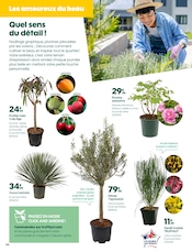 Promos Arbre dans le catalogue "BONS JOURS !" de Truffaut à la page 4 Promos Arbre dans le catalogue "BONS JOURS !" de Truffaut à la page 4