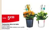 Kalanchoé déco de table en promo chez Carrefour Strasbourg à 5,99 €