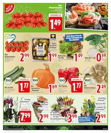 Zimmerpflanzen Angebot im aktuellen EDEKA Prospekt auf Seite 5