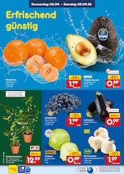 Ähnliche Streusalz Angebote im Prospekt "Aktuelle Angebote" von Netto Marken-Discount in Heidelberg Ähnliche Angebote wie Streusalz im Prospekt "Aktuelle Angebote" auf Seite 52 von Netto Marken-Discount in Heidelberg