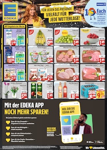 EDEKA Prospekt VIELFALT FÜR JEDE WETTERLAGE! mit 1 Seite