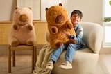 Auchan Hypermarché Arras - Promo PELUCHE CAPYBARA Promo PELUCHE CAPYBARA à 9,99 € dans le catalogue Auchan Hypermarché à Arras