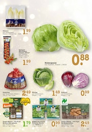 Pflanzen Angebot im aktuellen E center Prospekt auf Seite 23