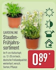Stauden-Frühjahrssortiment von Gardenline im aktuellen ALDI Nord Prospekt