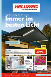 Aktueller Hellweg Baumarkt Prospekt in Dobitschen und Umgebung, "Die Profi-Baumärkte" mit 16 Seiten, 21.05.2024 - 25.05.2024