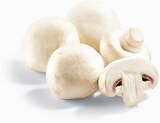 Champignons weiß im Angebot bei Netto Marken-Discount in Cottbus Champignons weiß Angebote bei Netto Marken-Discount Cottbus für 1,69 €