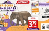 Tierfigur Elefant im Angebot bei EDEKA in Frankfurt Tierfigur Elefant Angebote von Schleich bei EDEKA Frankfurt für 3,79 €